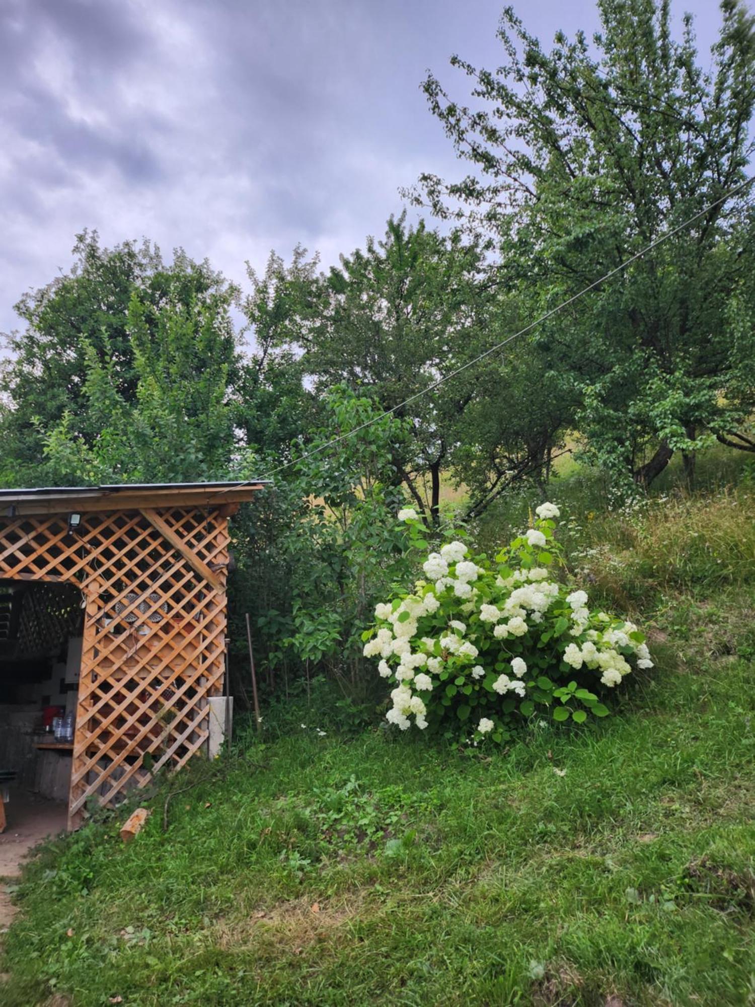Casa Din Livada - Cazare Magherus Topliţa Zewnętrze zdjęcie